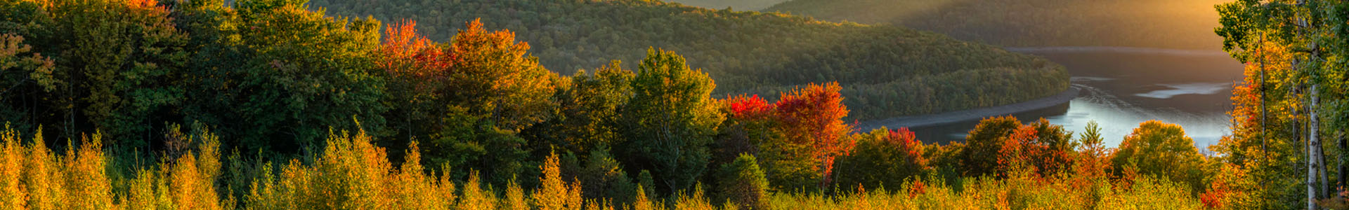 Fall Forest Overlooking a River